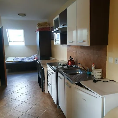 Guest house Goscinne U Piotra